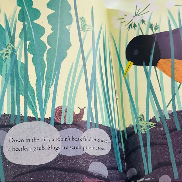Up in the Garden & Down in the Dirt Scholastic Paperback Picture Book - Picture 4 of 8